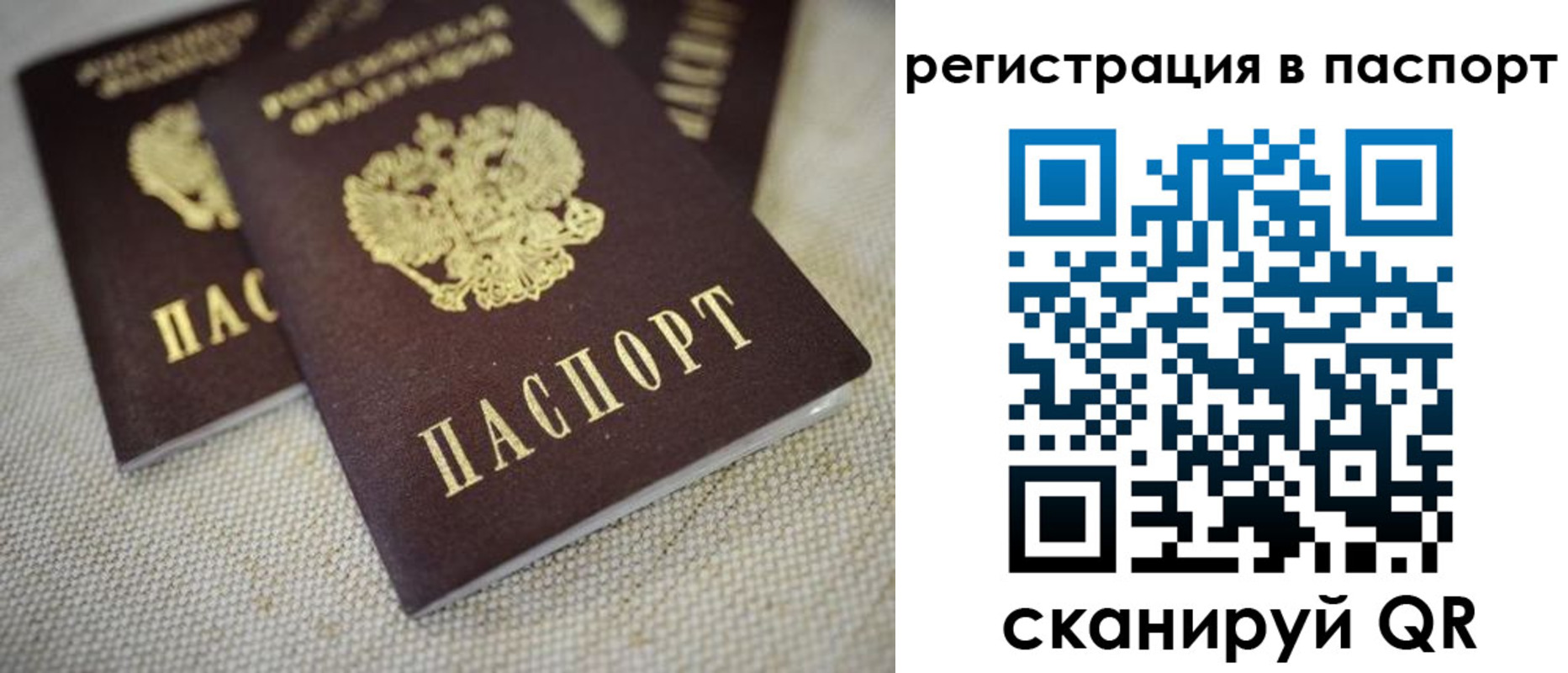 прописка гарантия в Кубинке